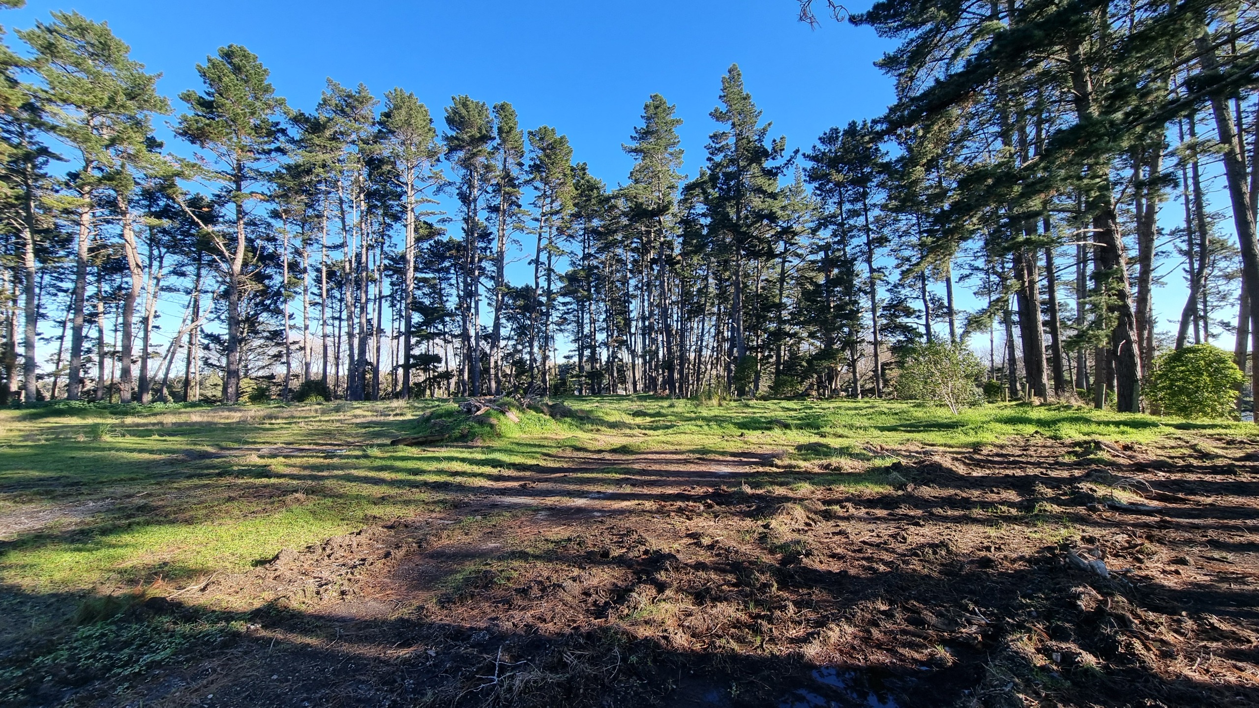 Tamahere Reserve Concept Plan | Shape Waikato