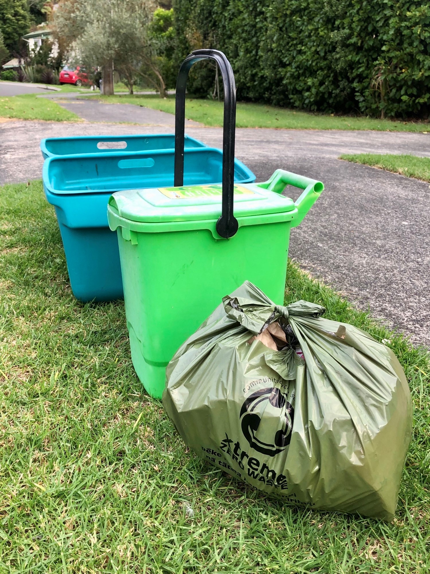 Raglan Food Waste Shape Waikato